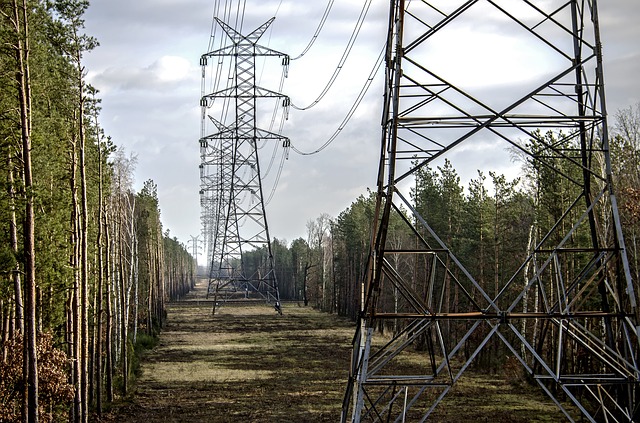 Płaskowniki stalowe, czyli znane nieznane